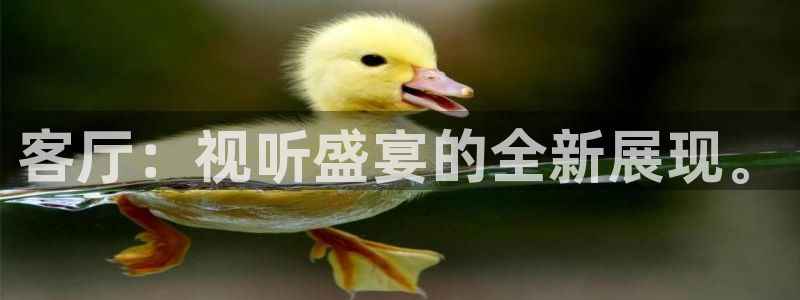 四虎影视精品国产：客厅：视听盛宴的全新展现。