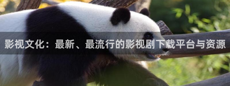 四虎毛片免费看：影视文化：最新、最流行的影视剧下载平台与资源