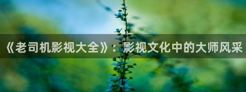 四虎影院观看视频：《老司机影视大全》：影视文化中的大师风采